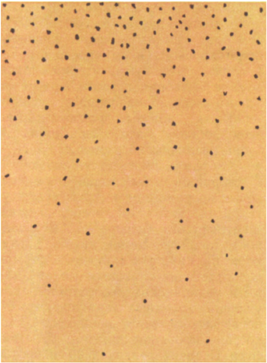 Распределение зёрнышек по высоте в гуммигутовой эмульсии.