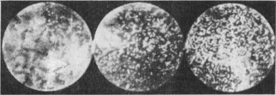 Фотографии гуммигутовой эмульсии, сделанные Ж. Перреном через микроскоп.
