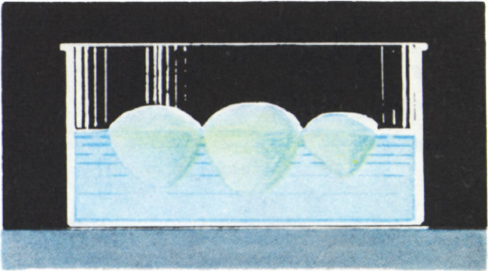 Рис. 3