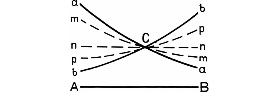 Рис. 3. Через точку <nowrap>{literal}$C${/literal},</nowrap> лежащую вне прямой <nowrap>{literal}$AB${/literal},</nowrap> можно, предположил Лобачевский, провести хотя бы две прямые <nowrap>{literal}$a${/literal}</nowrap> и <nowrap>{literal}$b${/literal},</nowrap> которые не пересекутся с прямой <nowrap>{literal}$AB${/literal}</nowrap> (для наглядности «прямые» <nowrap>{literal}$a${/literal}</nowrap> и <nowrap>{literal}$b${/literal}</nowrap> изображены здесь в искривлённом виде). Точно так же не пересекают прямую <nowrap>{literal}$AB${/literal}</nowrap> и прямые <nowrap>{literal}$m${/literal},</nowrap> <nowrap>{literal}$n${/literal},</nowrap> <nowrap>{literal}$p${/literal},</nowrap> проходящие через точку <nowrap>{literal}$C${/literal}.</nowrap>
