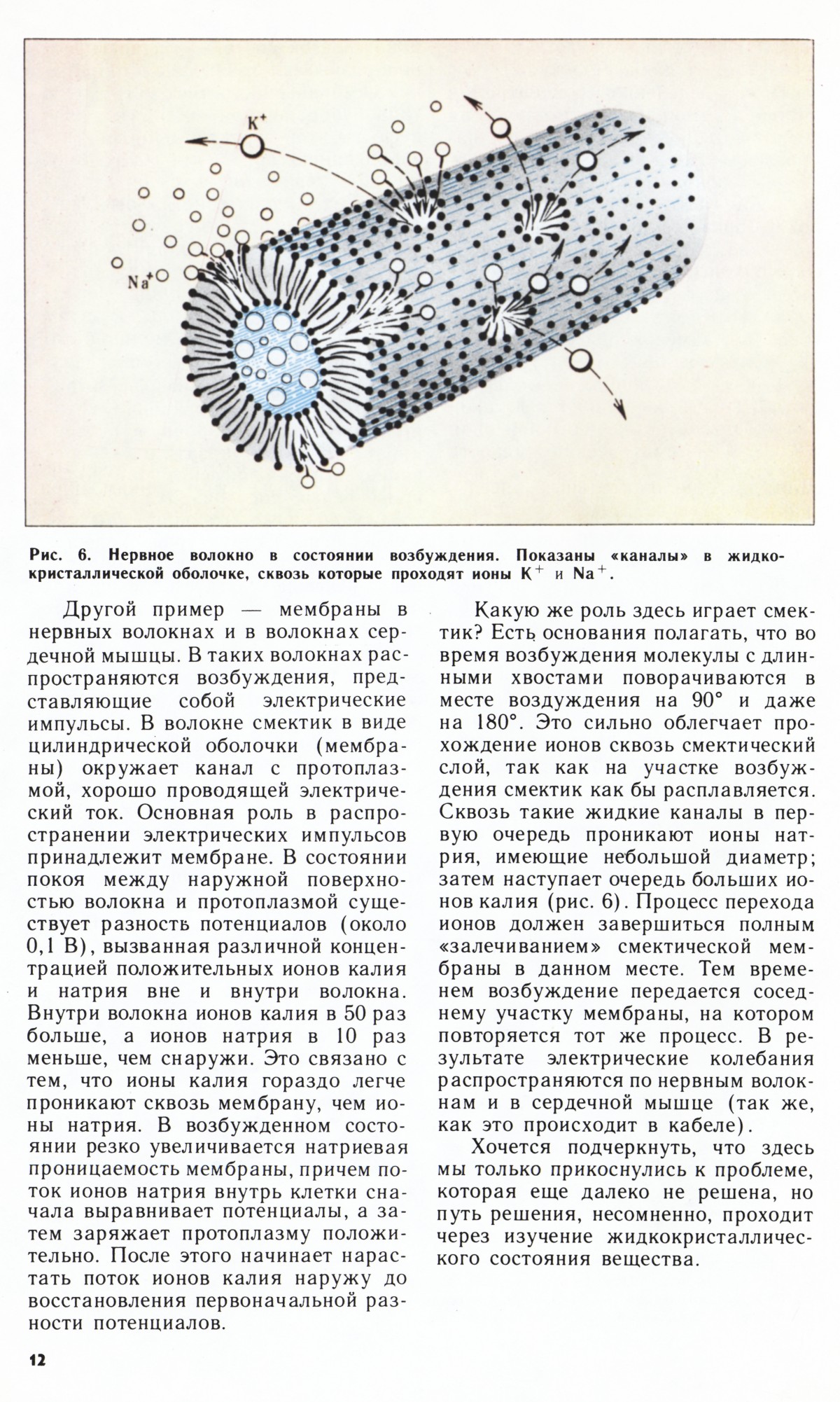 Стр. 12