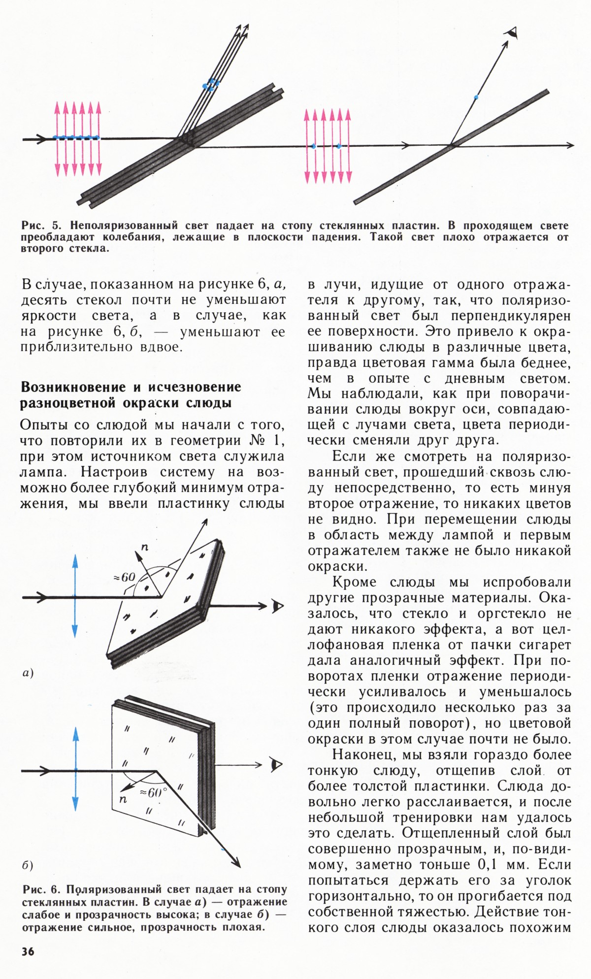 Стр. 36