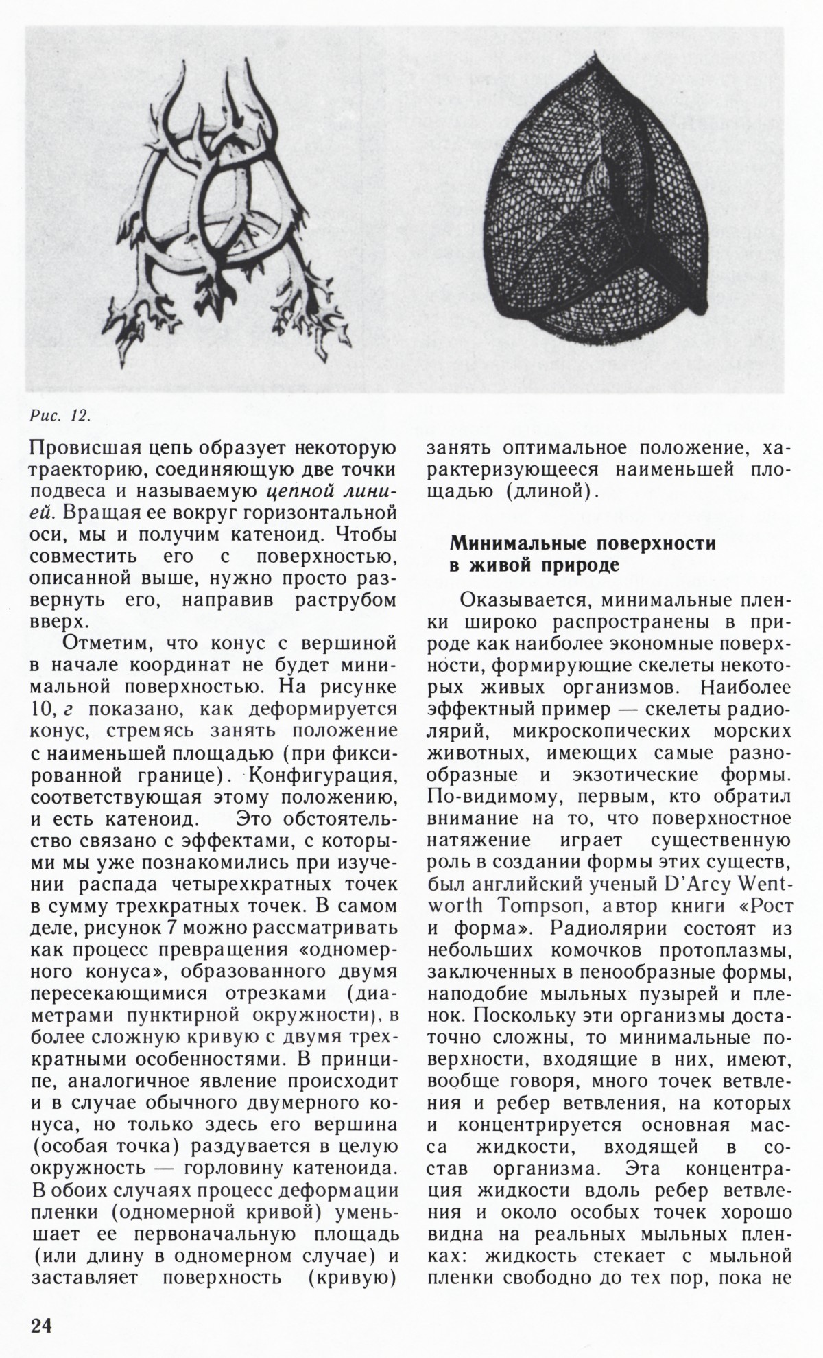 Стр. 24