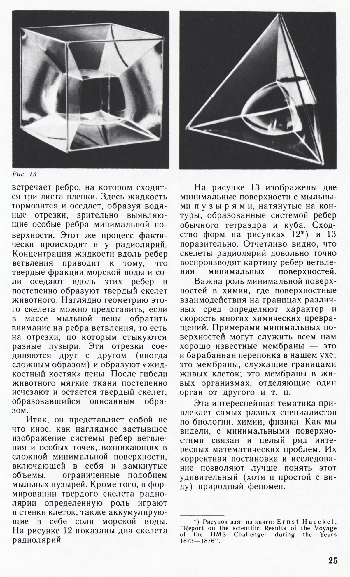 Стр. 25