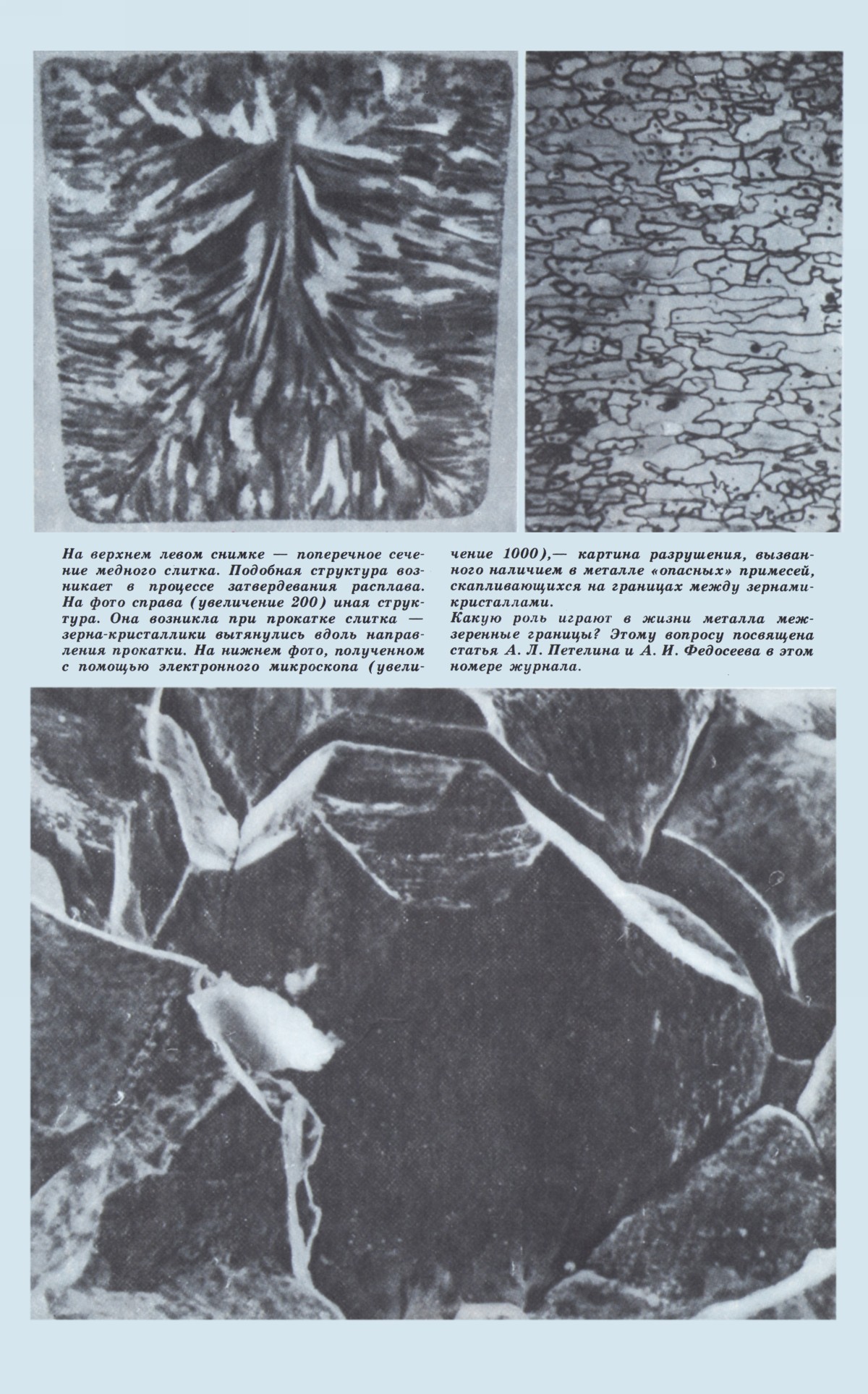 Обложка (с. 2)