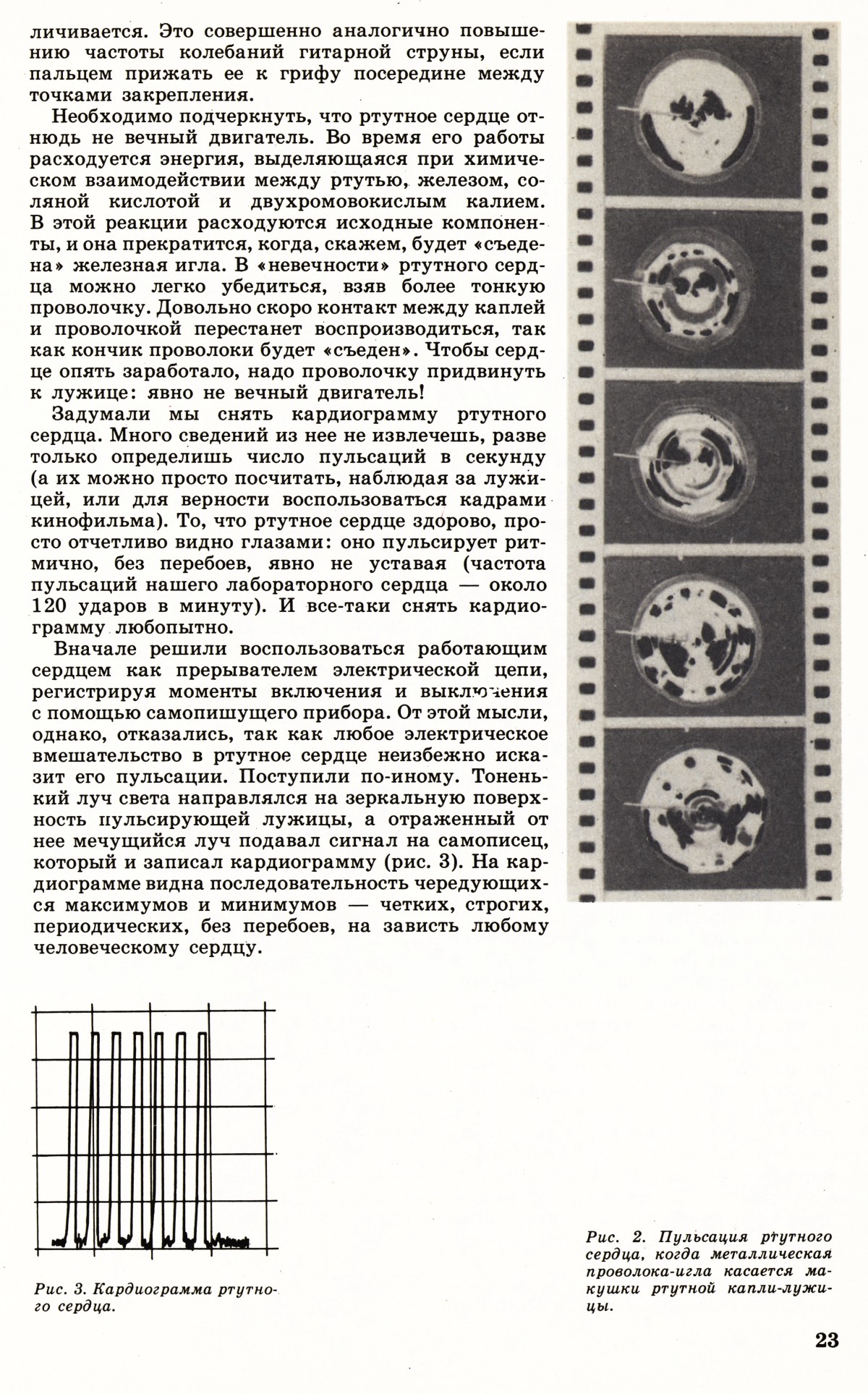 Стр. 23
