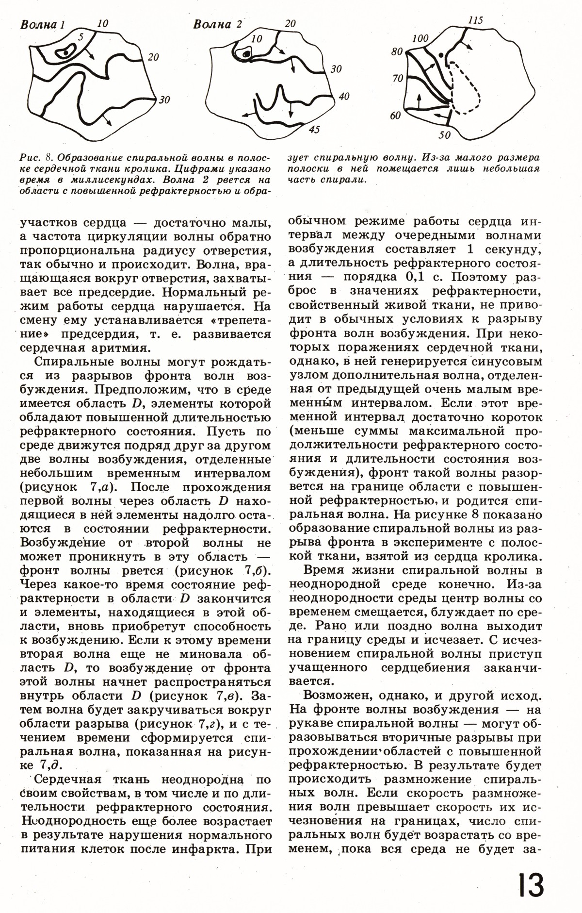 Стр. 13