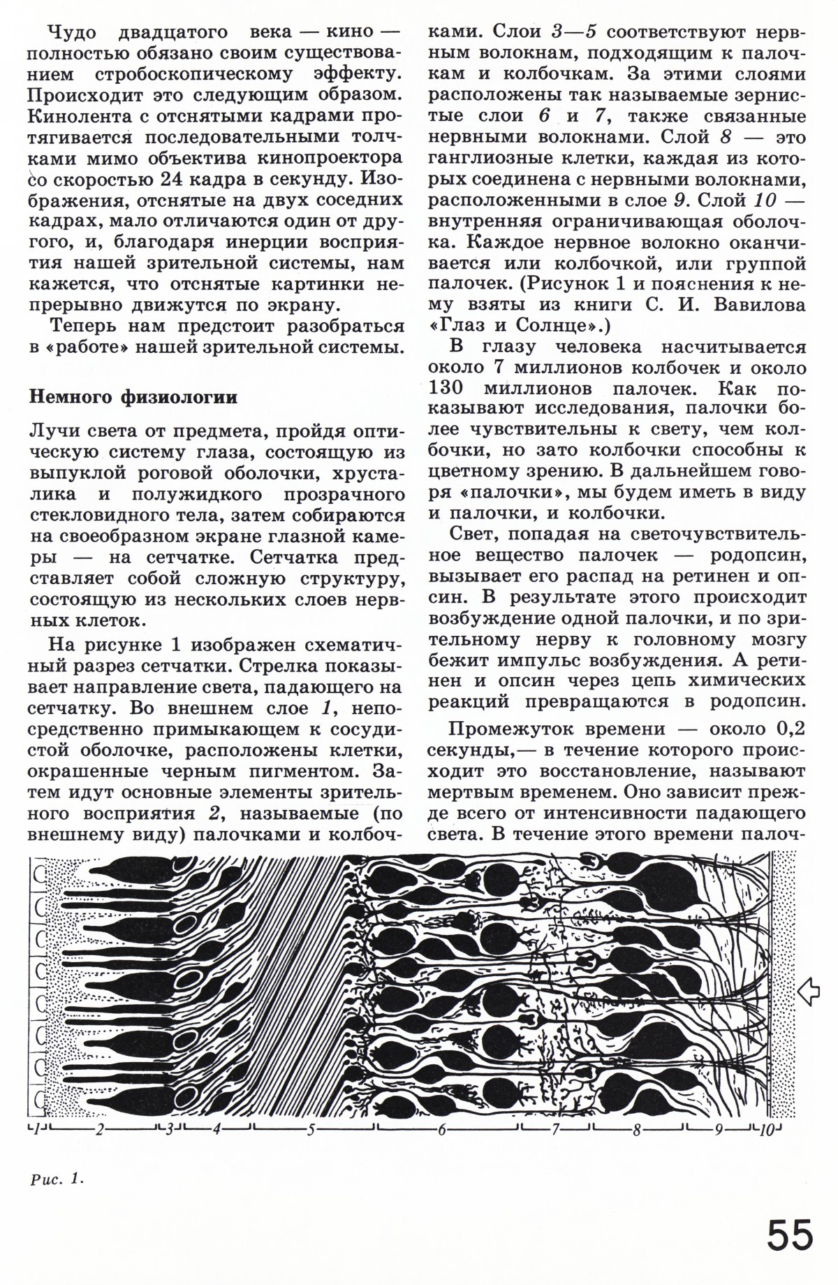 Стр. 55