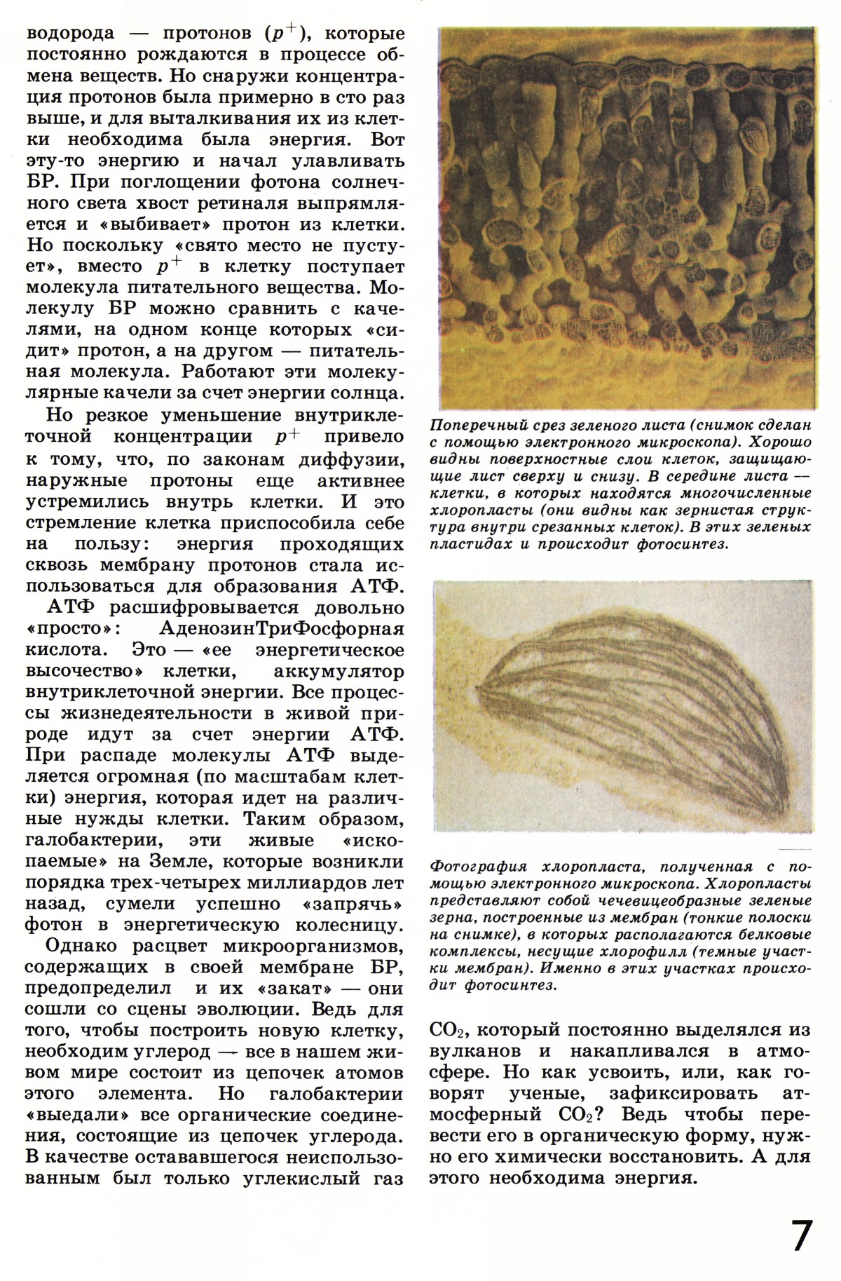 Стр. 7