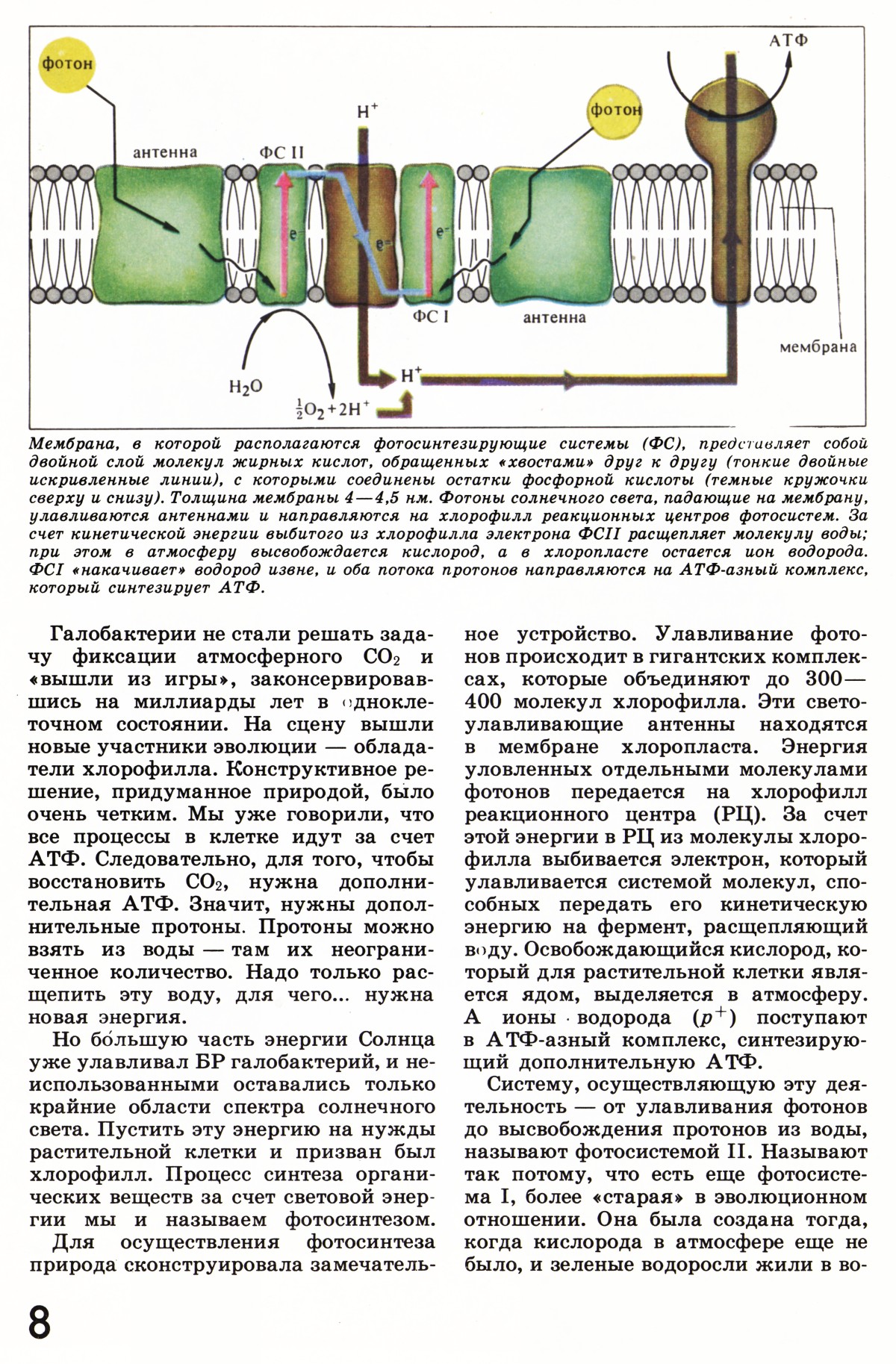 Стр. 8