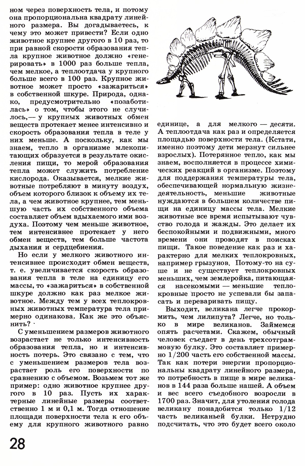Стр. 28