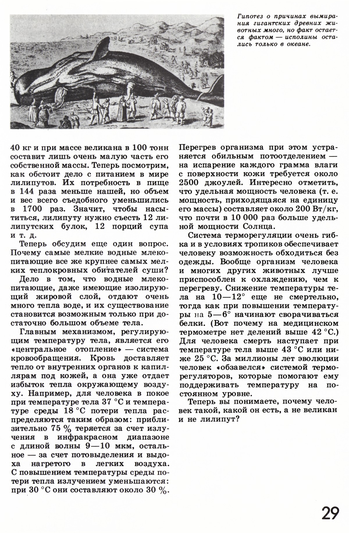 Стр. 29
