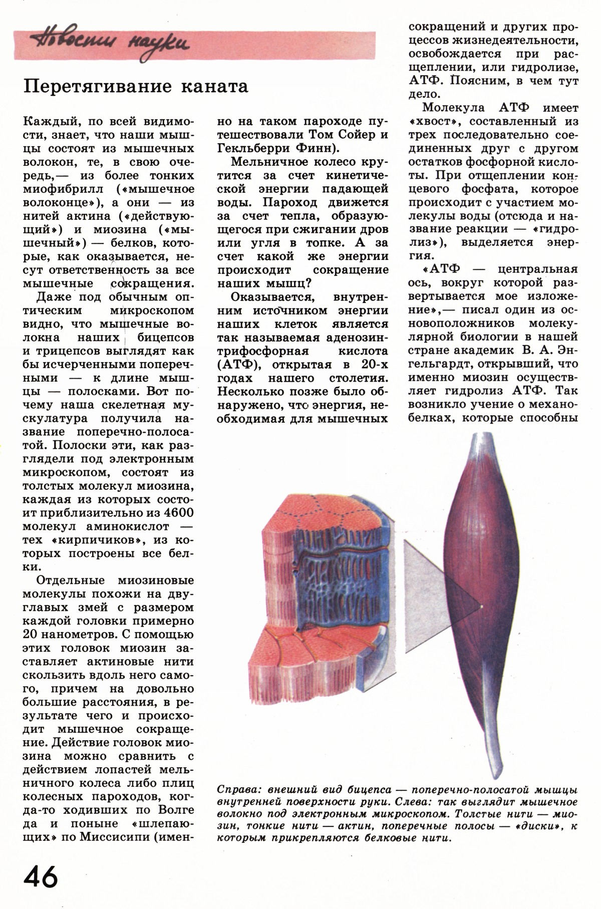 Стр. 46