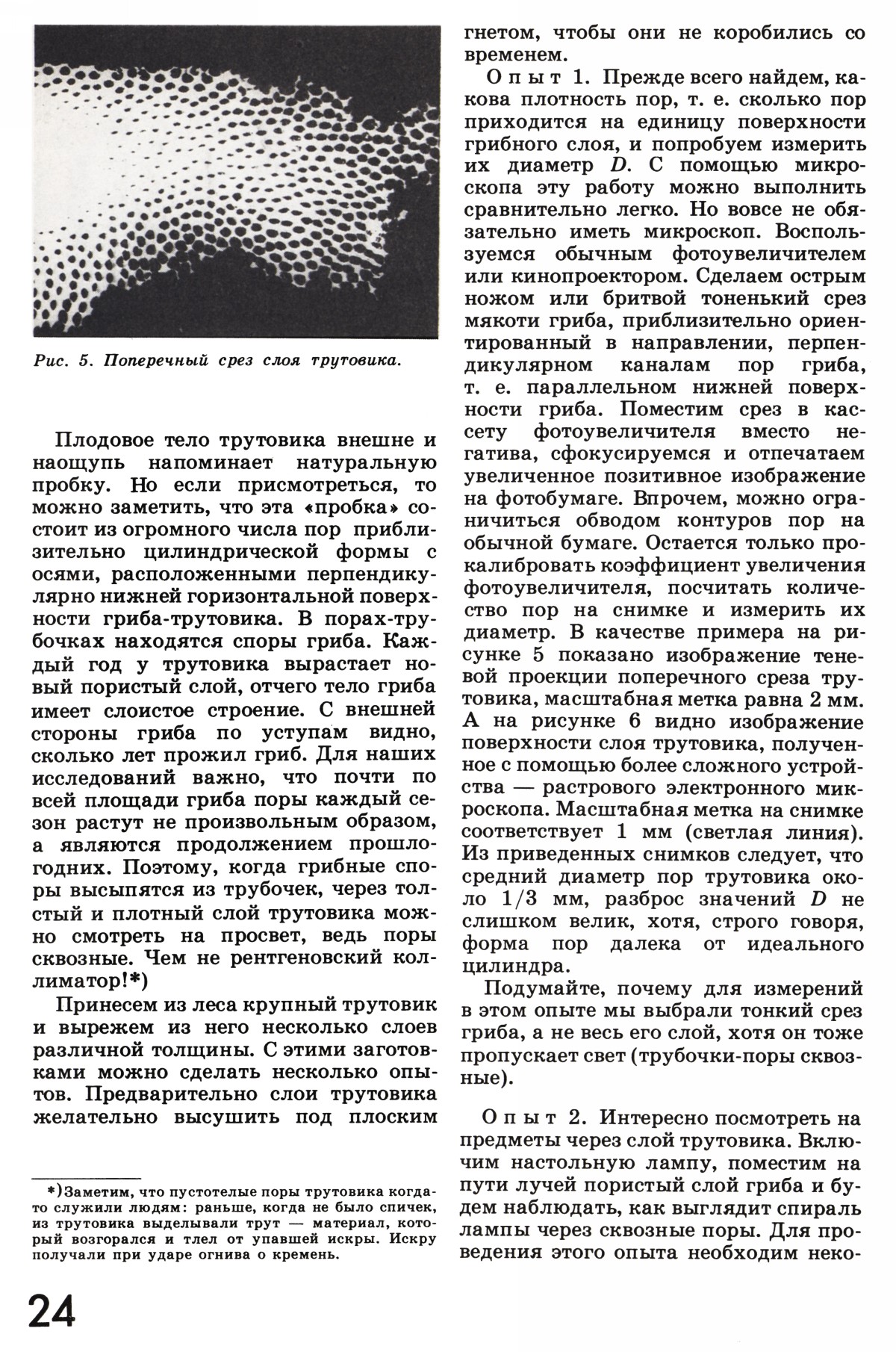Стр. 24