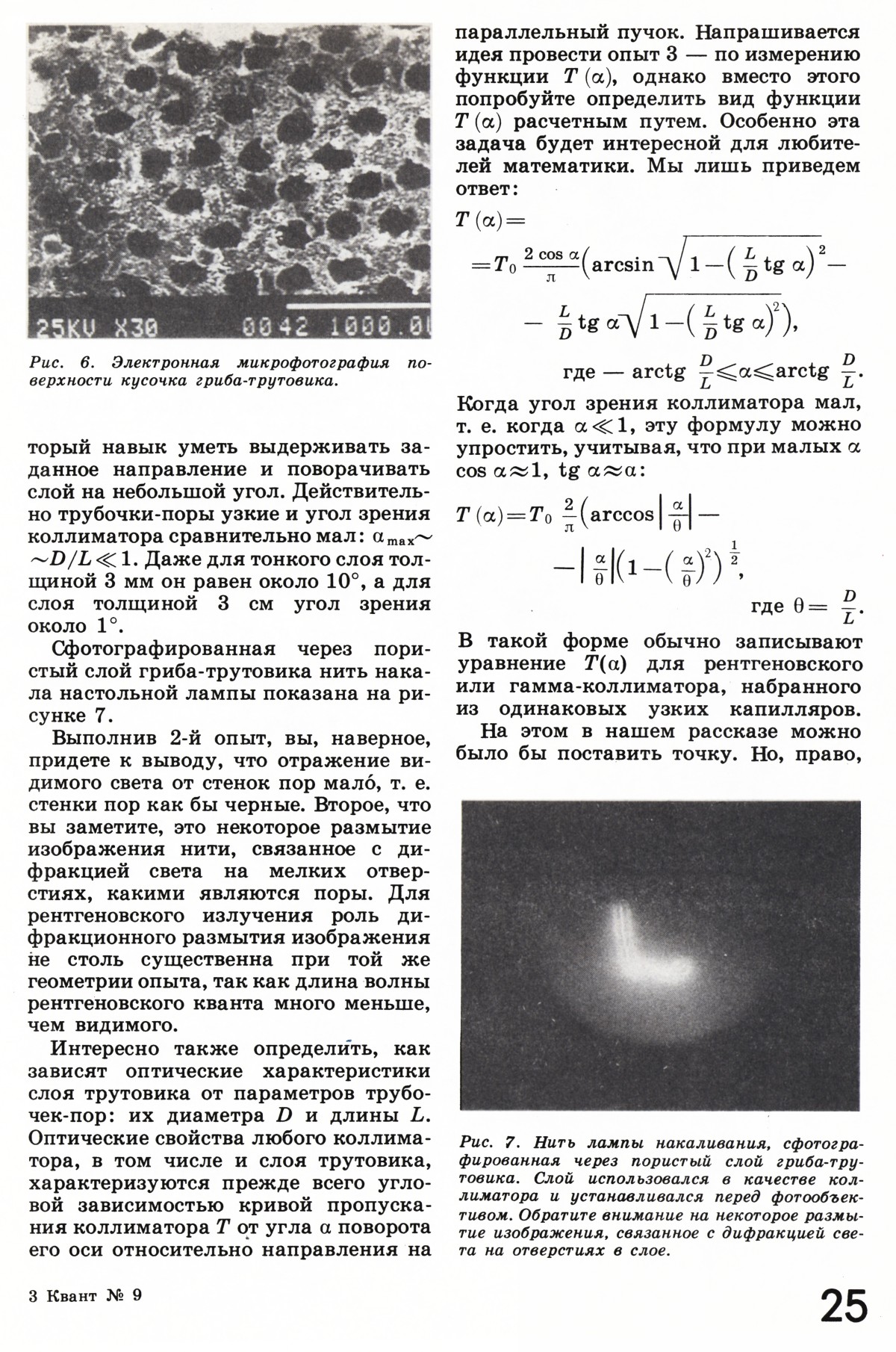 Стр. 25