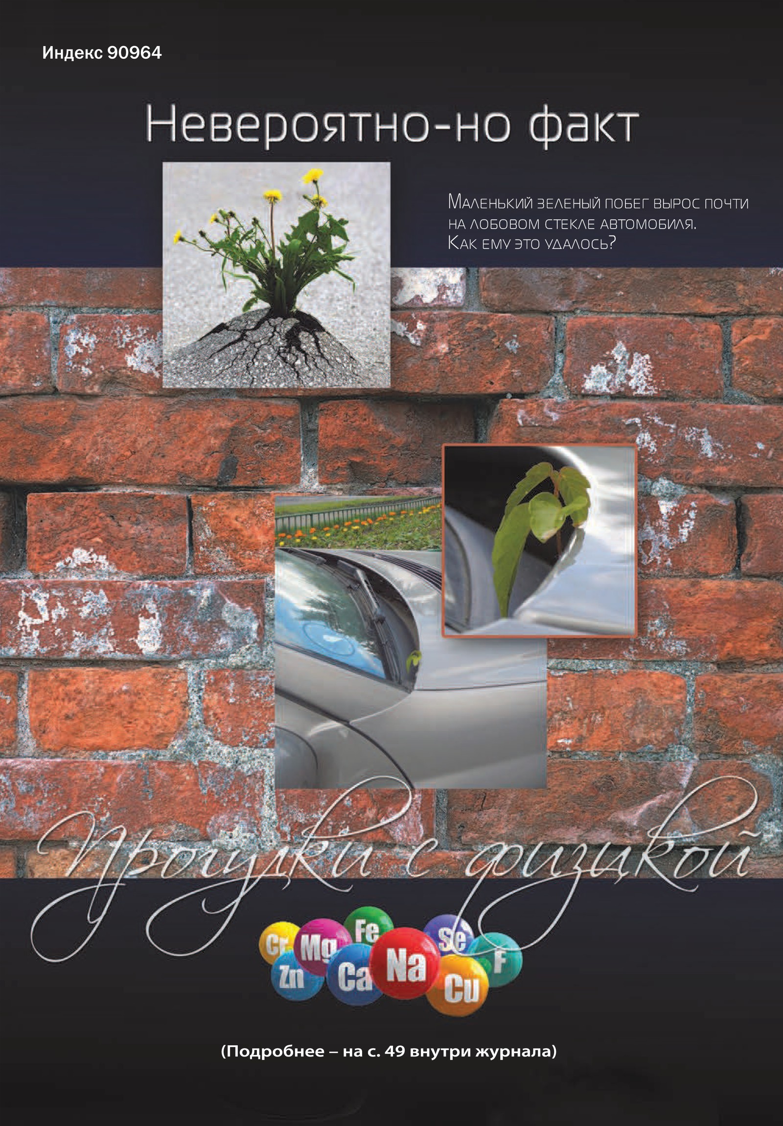 Обложка (с. 4)