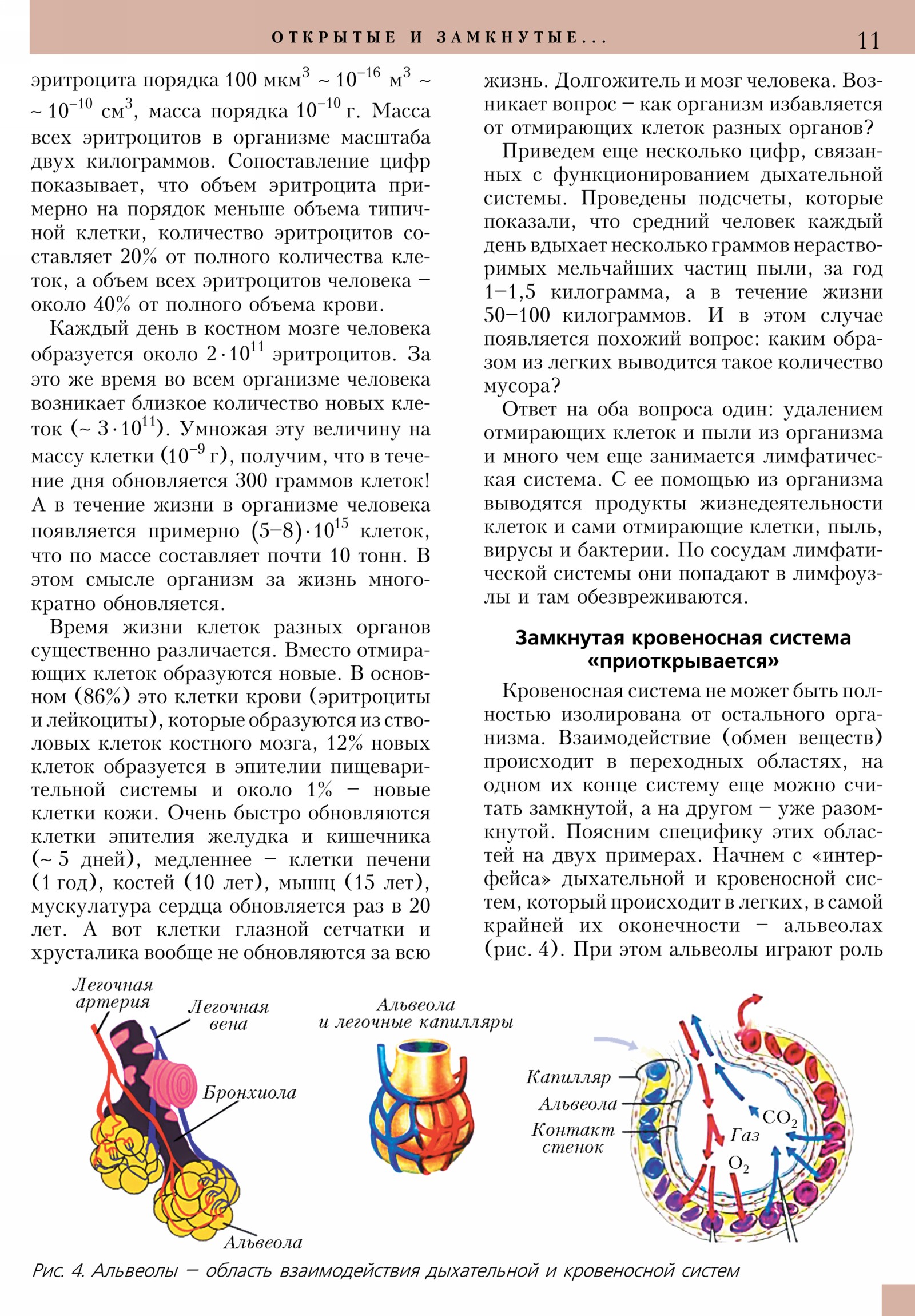 Стр. 11