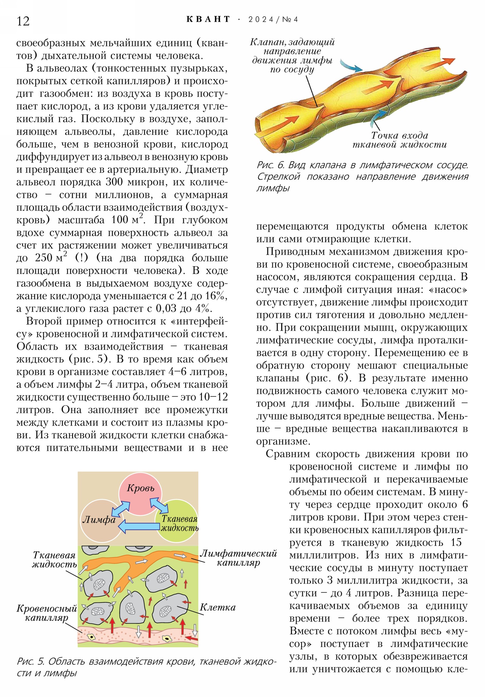 Стр. 12