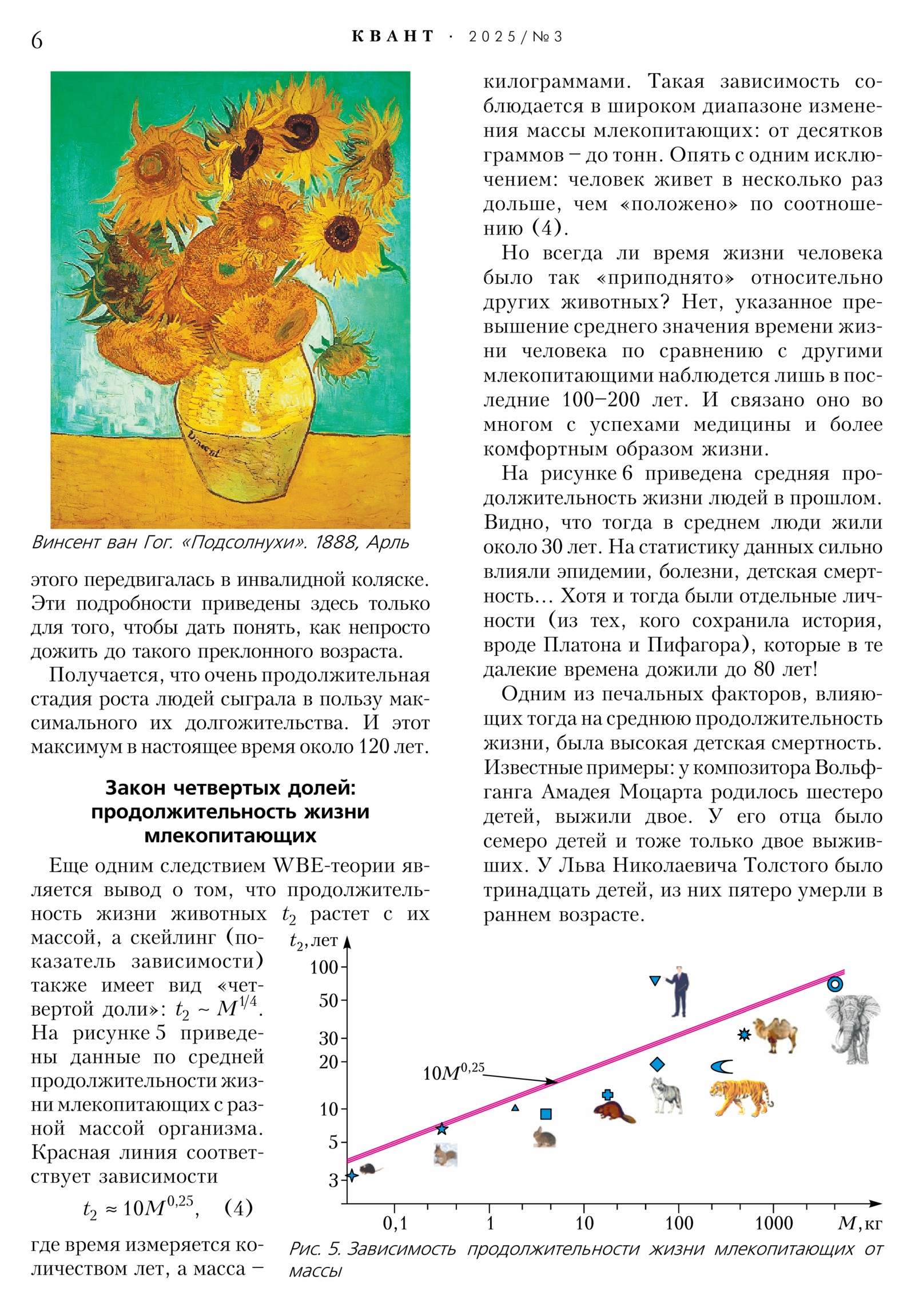 Стр. 6