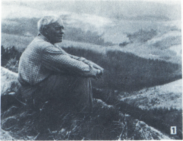 1. Б. Н. Делоне в Карпатах.