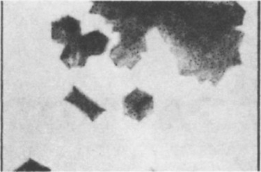 Рис. 10