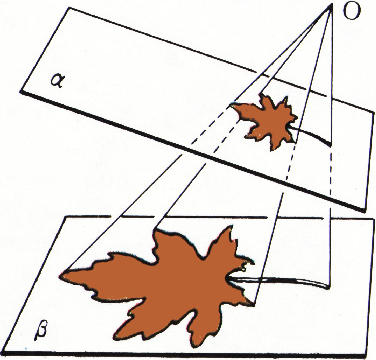 Рис. 2