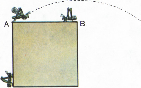 Рис. 1