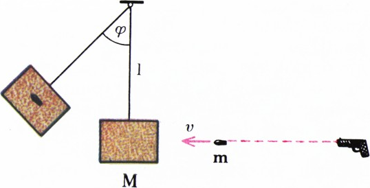 Рис. 5